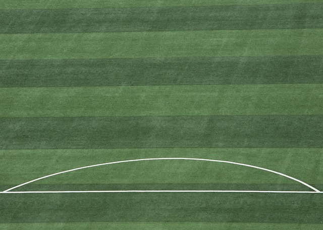 F1卡塔尔冲刺排位：皮亚斯特里夺杆！诺里斯第3，维斯塔潘第6