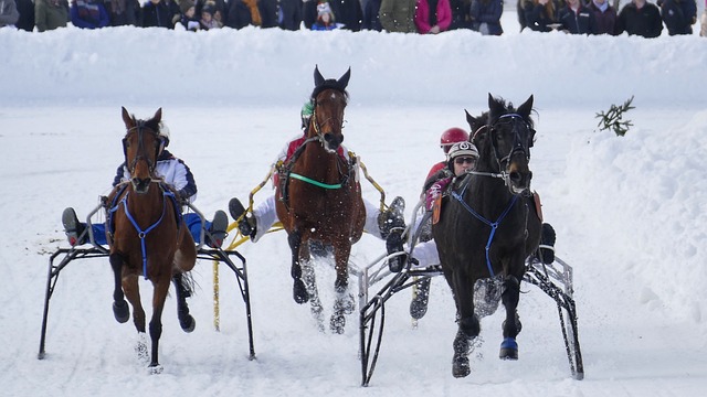 普尔申请加盟快船！督促奇才尽快完成交易，自信和哈登能无缝衔接​.